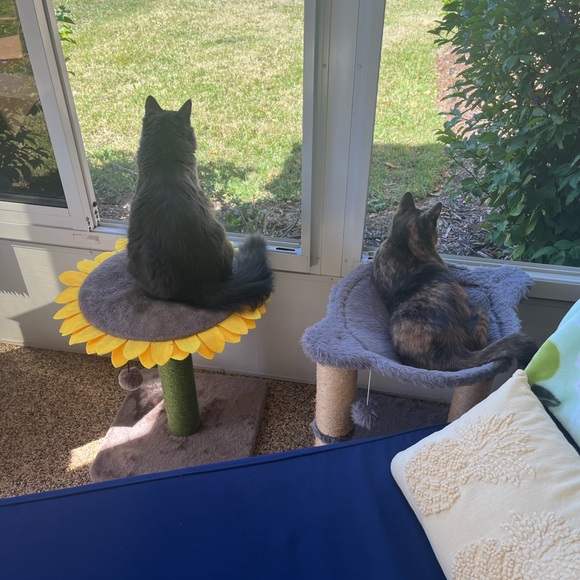 Meet your Posher, Maureen - Picture 3 of 6